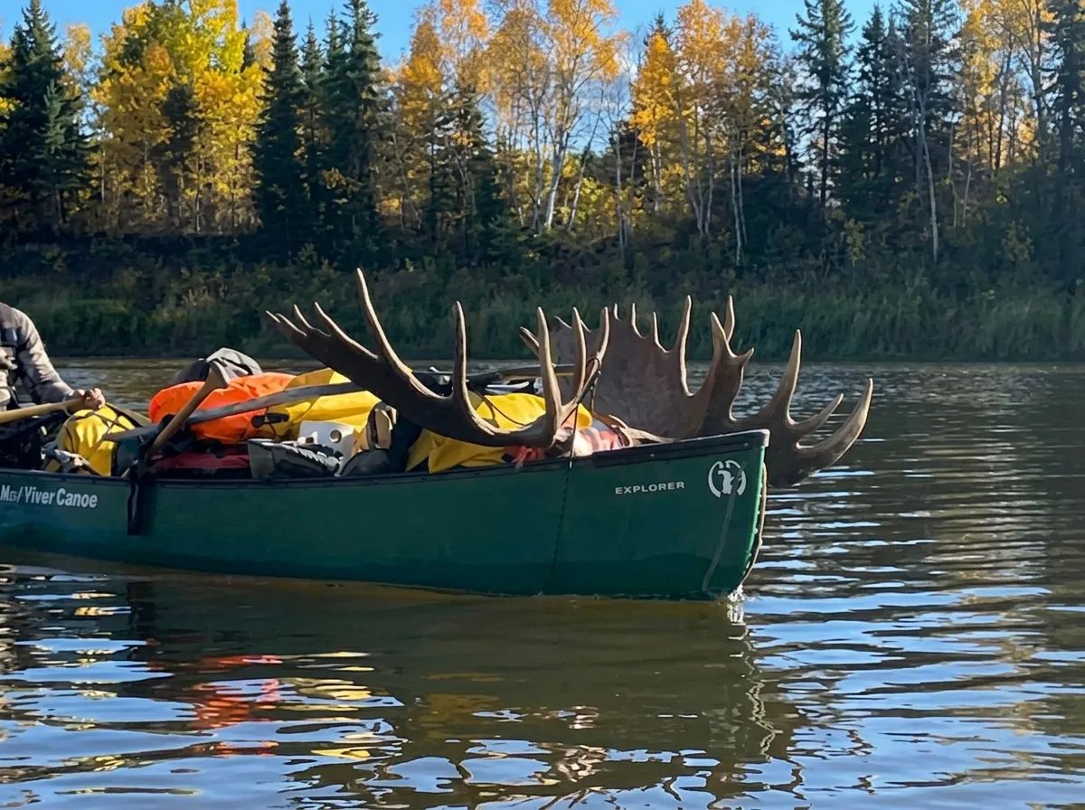 Photo of Gunson Guiding & Outfitting in Northern Rockies, BC