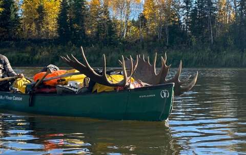 Photo of Gunson Guiding & Outfitting in Northern Rockies, BC