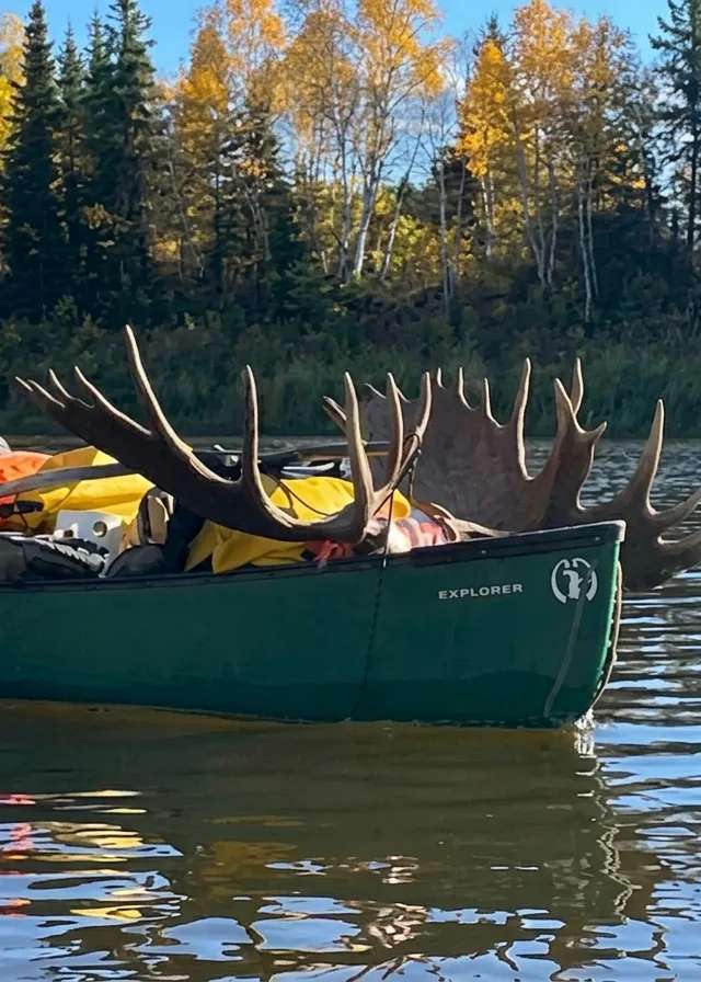 Photo of Gunson Guiding & Outfitting in Northern Rockies, BC