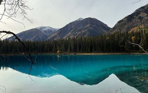 Photo of Stone & Folding Mountain Outfitters in Northern Rockies, BC