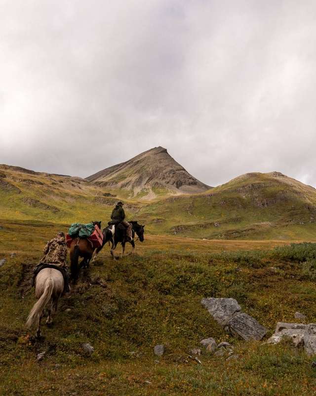 Photo of Tuchodi River Outfitters in Northern Rockies, BC