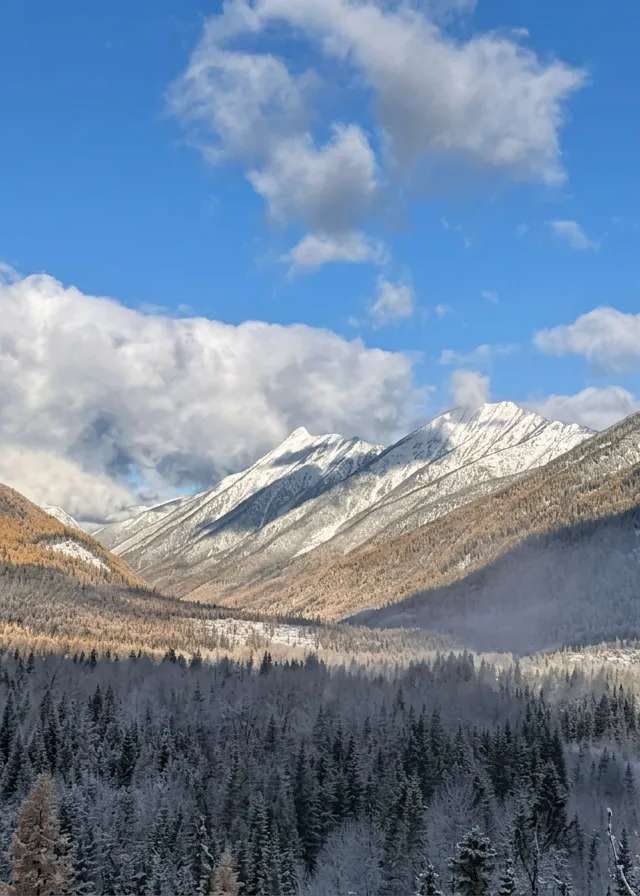 Photo of Sawtooth Outfitters in East Kootenay, BC