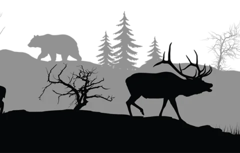 The Lodge – Rocky Mountain High Outfitters