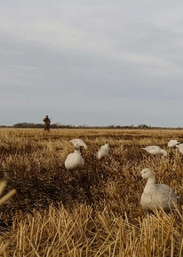 Photo of Ace Outfitting Inc. in Parkland, SK