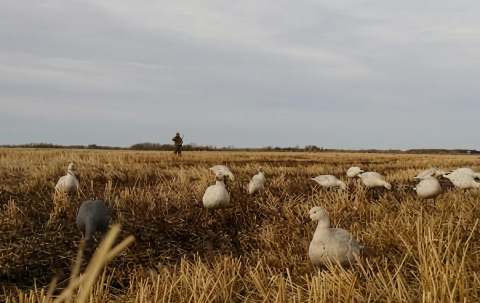 Photo of Ace Outfitting Inc. in Parkland, SK