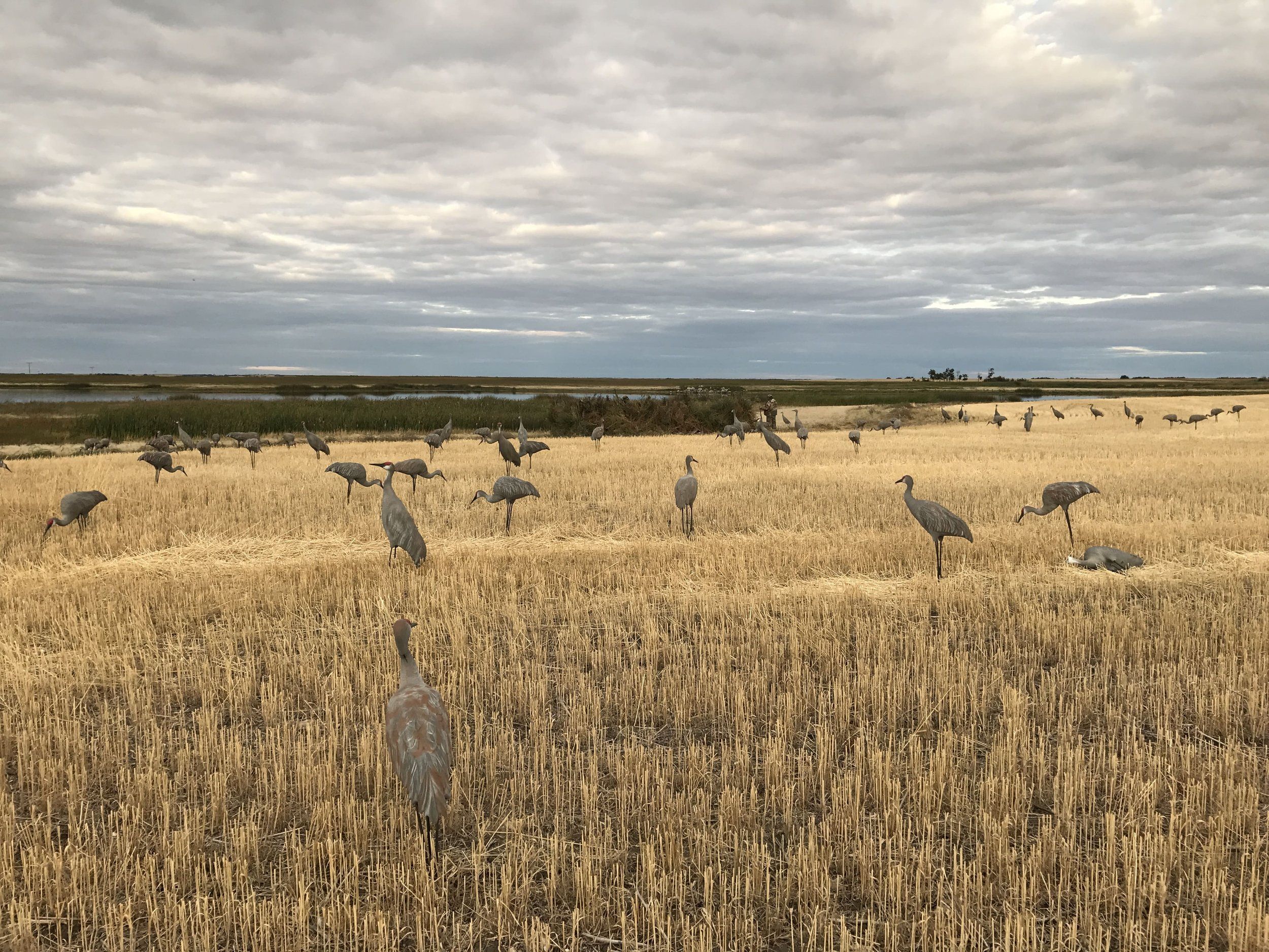 Photo of Aurora Skies Outfitting in Grasslands, SK