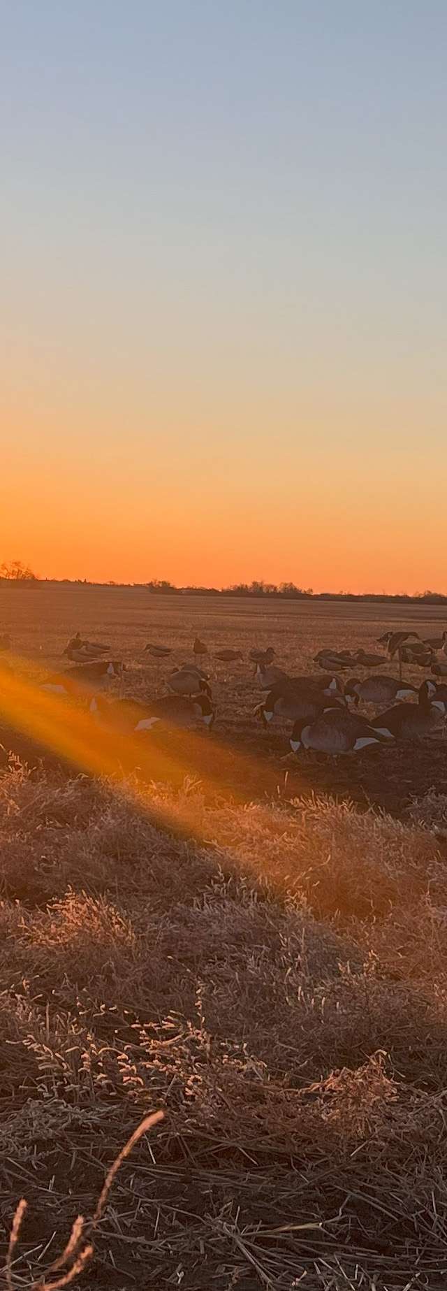 Photo de Aurora Wings Outfitters dans la Vallée de la Souris, Sk