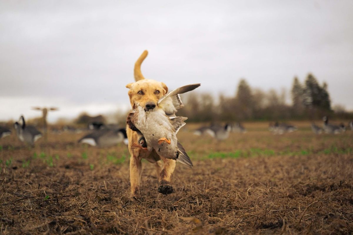 Photo of Bay Prairie Outfitters in Souris Valley, SK