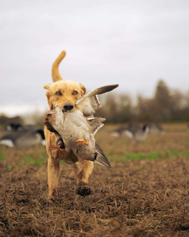 Photo of Bay Prairie Outfitters in Souris Valley, SK