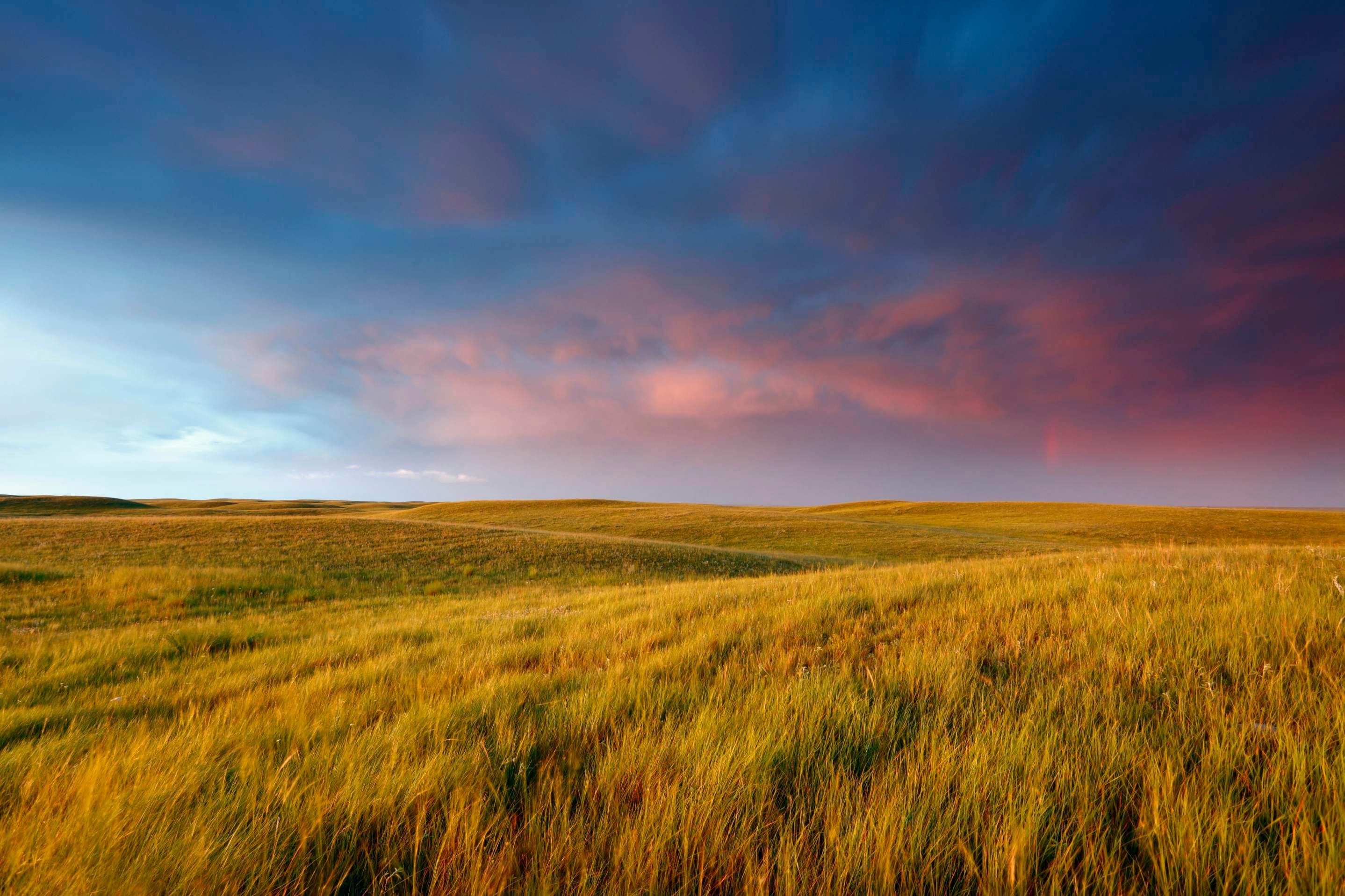 Photo of Bear Paw Outfitters – Deep in the Bush Adventures Canada in Parkland, SK
