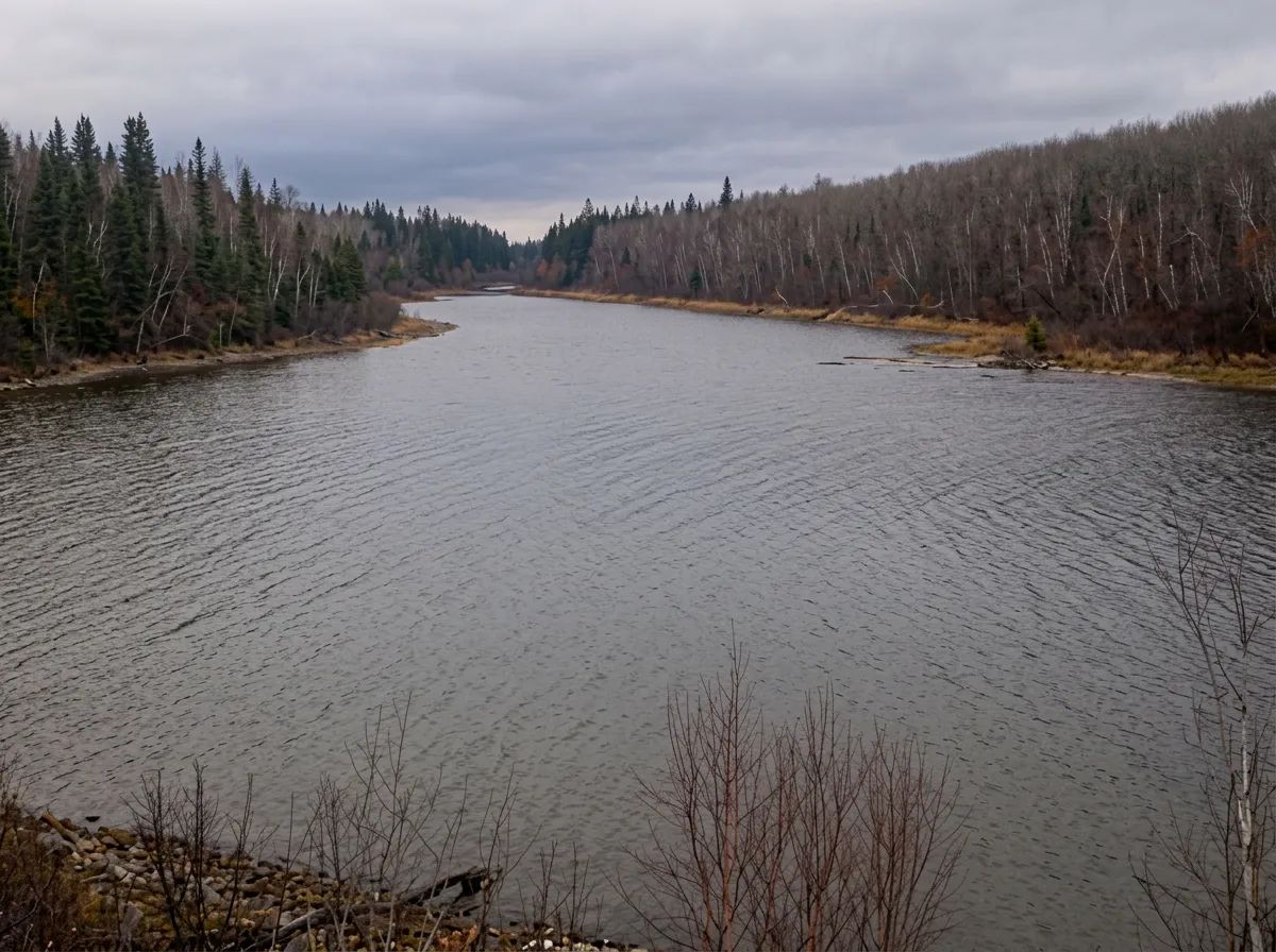 Photo of Bearadise Bay Wilderness Camp Ltd. in Northern Forest, SK