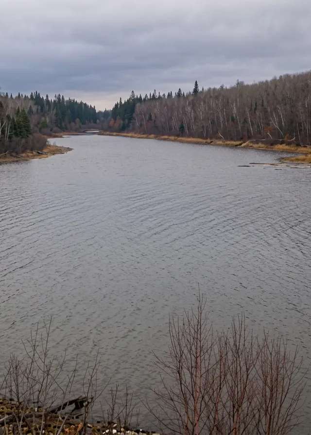 Photo of Bearadise Bay Wilderness Camp Ltd. in Northern Forest, SK