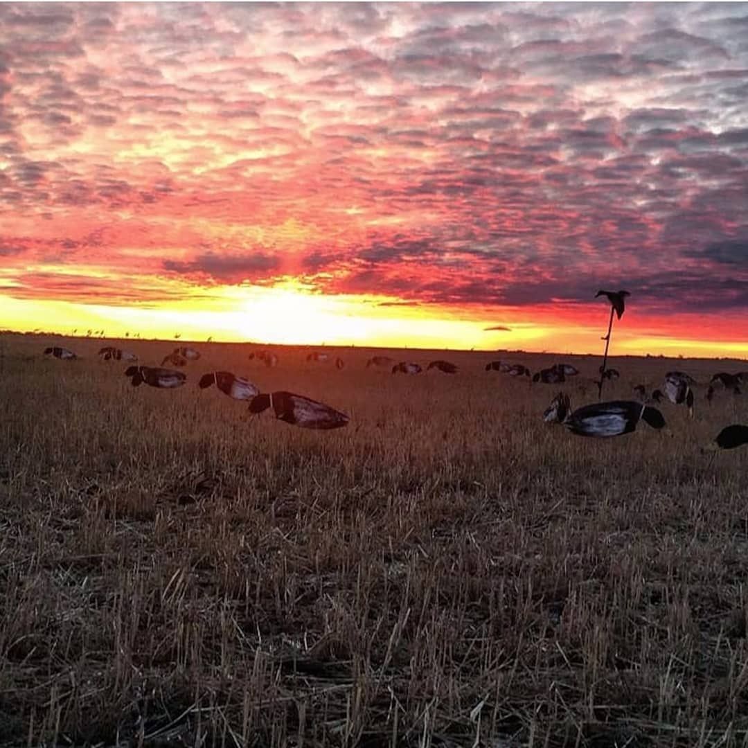 Photo of Benelli Boyz Outfitters in Grasslands, SK
