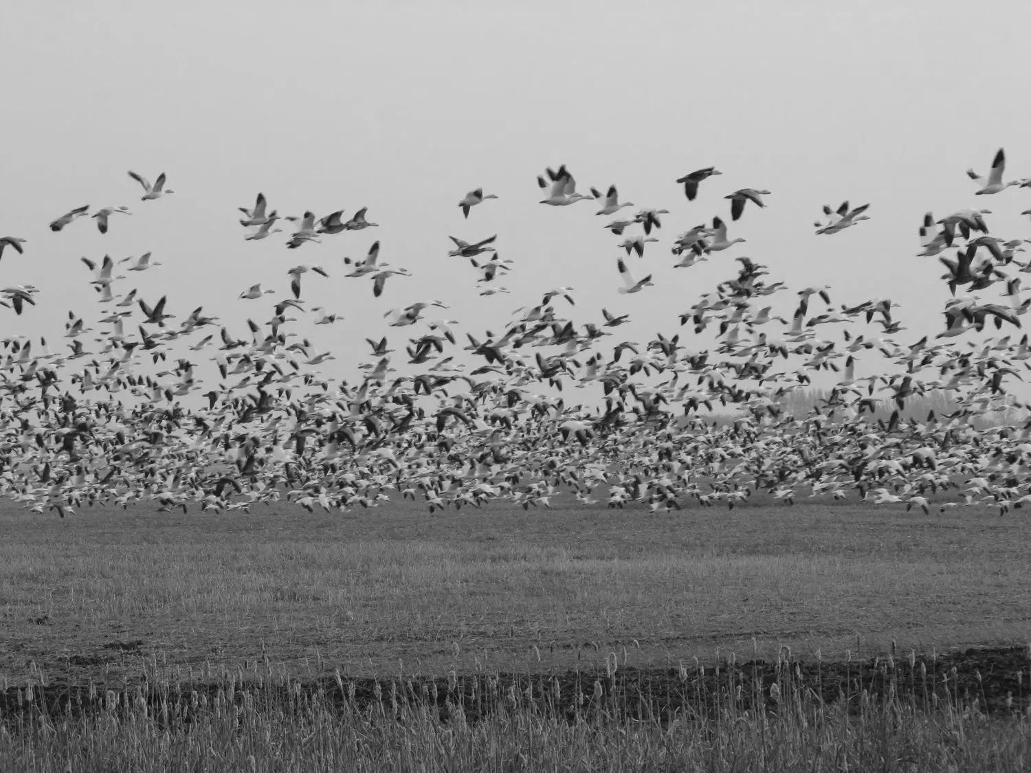 Photo de Big Bend Outfitting dans la Vallée de la Souris, Sk