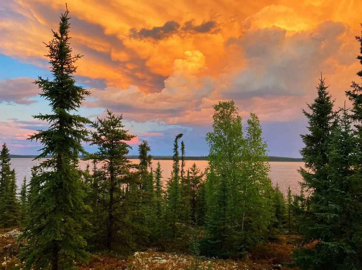 Photo of Big Spruce Outfitting in Parkland, SK