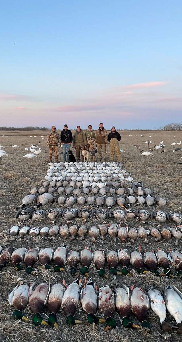 Photo of Black Sheep Waterfowl in Souris Valley, SK
