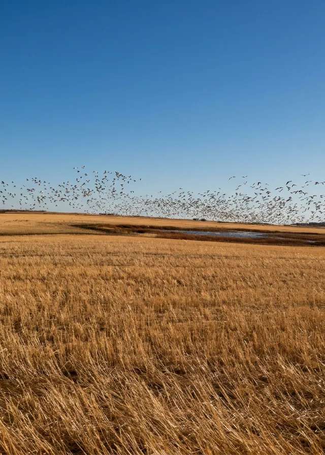 Photo of Canadian Prairie Outfitters in Saskatchewan