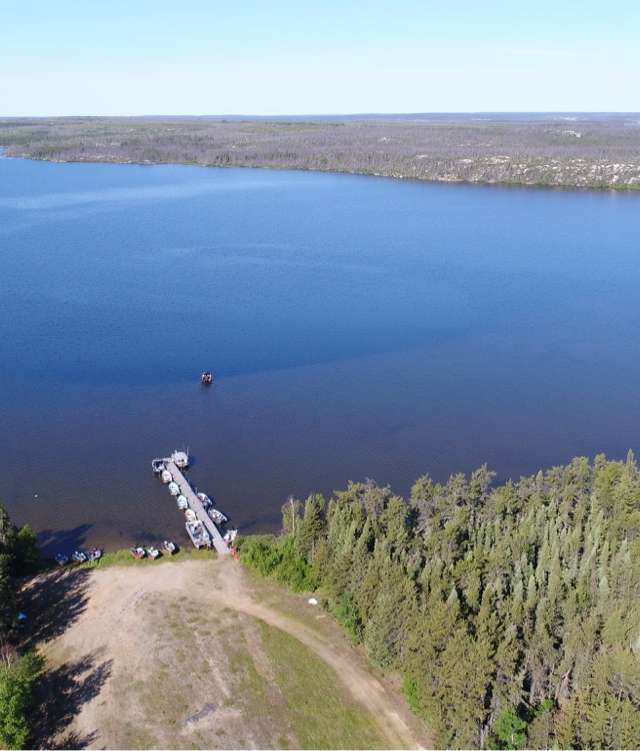 Photo de Davin Lake Lodge dans la Forêt boréale, Sk