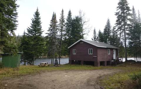 Photo of Aventures Big Bear Hunt in Outaouais, QC