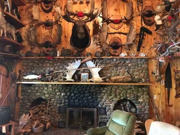 Twin Pine Lodge — Absolute Outfitters – Absolute Outfitters