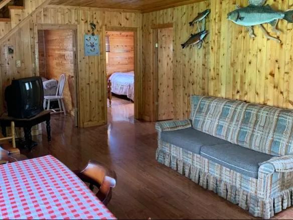 Cabin The New Camp — Absolute Outfitters – Absolute Outfitters