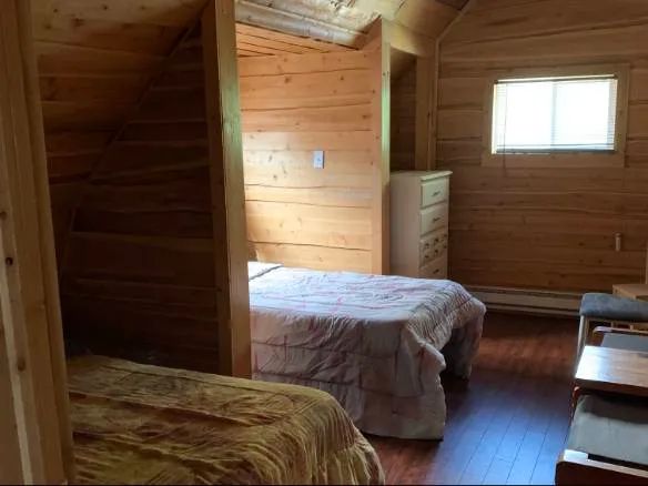 The New Camp – Absolute Outfitters