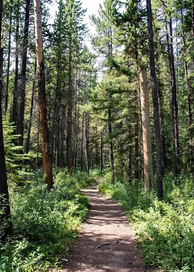 Photo de Deepwoods Outfitters au Nouveau-Brunswick
