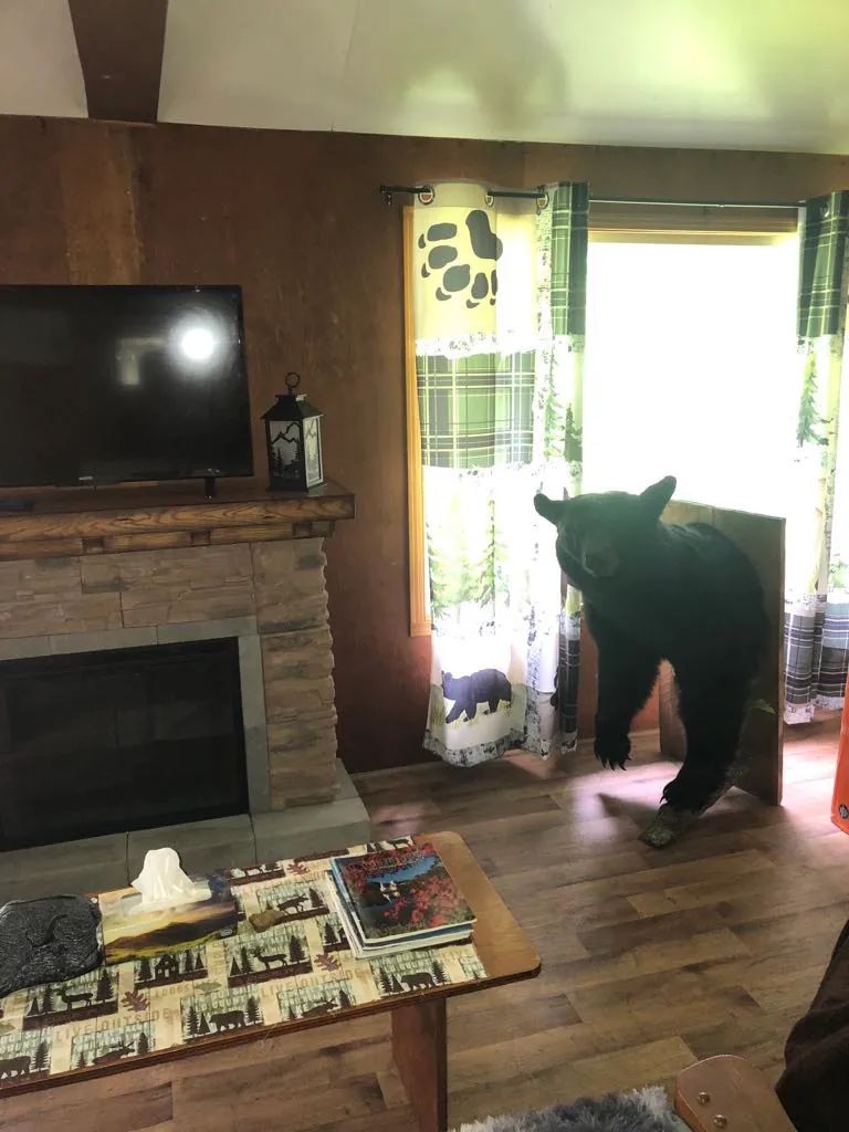 Auberge de chasse du camp Serpentine — MB Outfitters – MB Outfitters