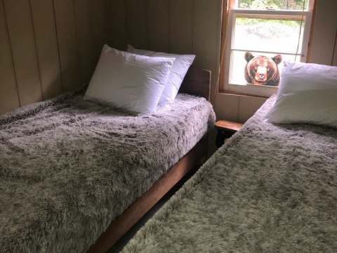 Deux lits simples avec couvertures douces dans une chambre du Serpentine Camp.