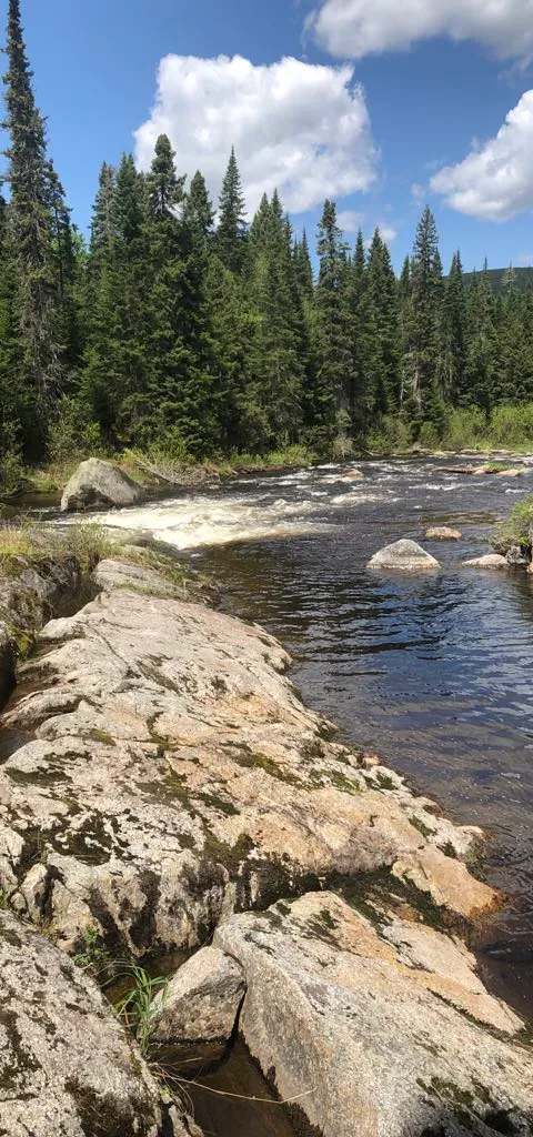 View of the Serpentine River near the camp at MB Outfitters, Saint John River Valley, New Brunswick