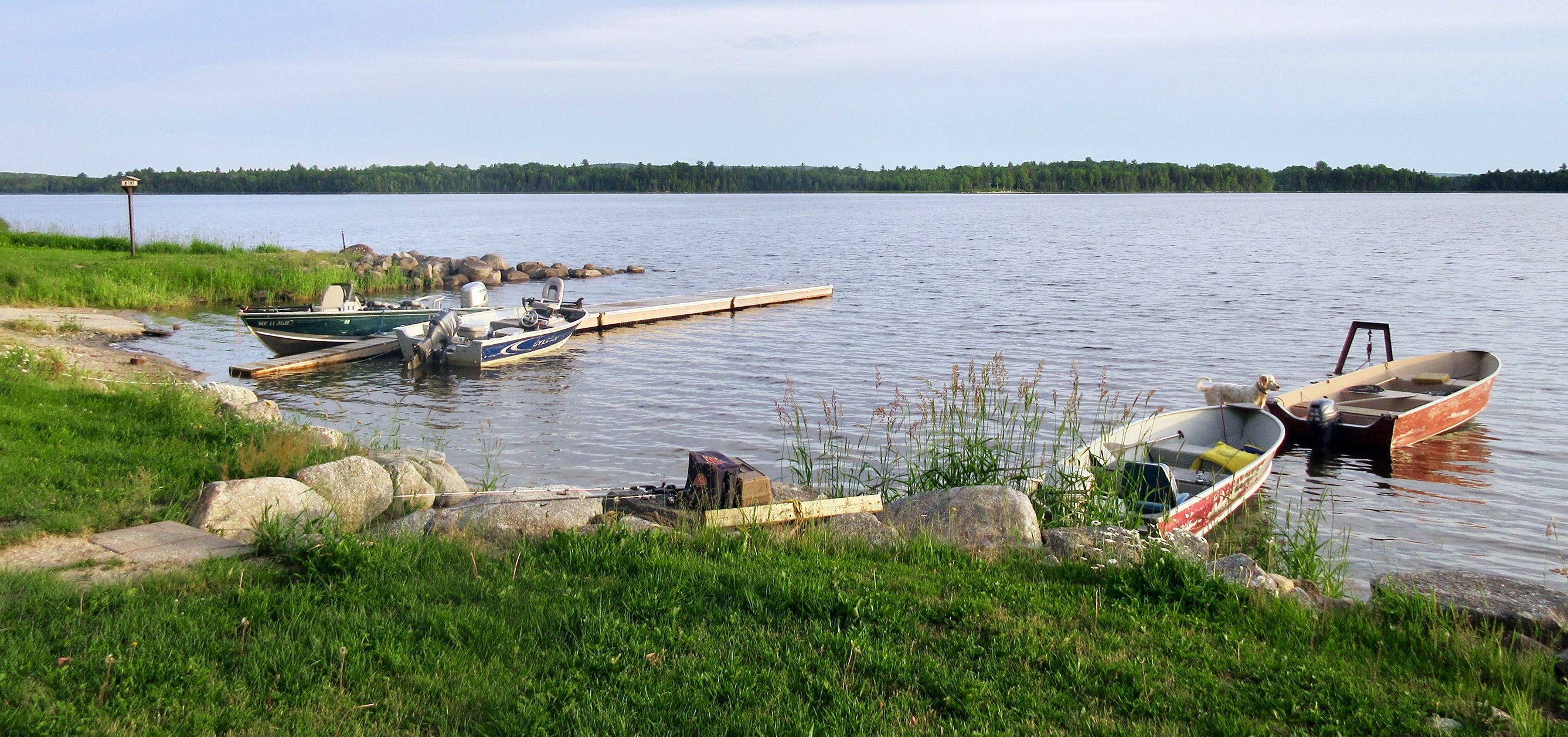 Photo of Palfrey Lake Lodge in Bay of Fundy, NB