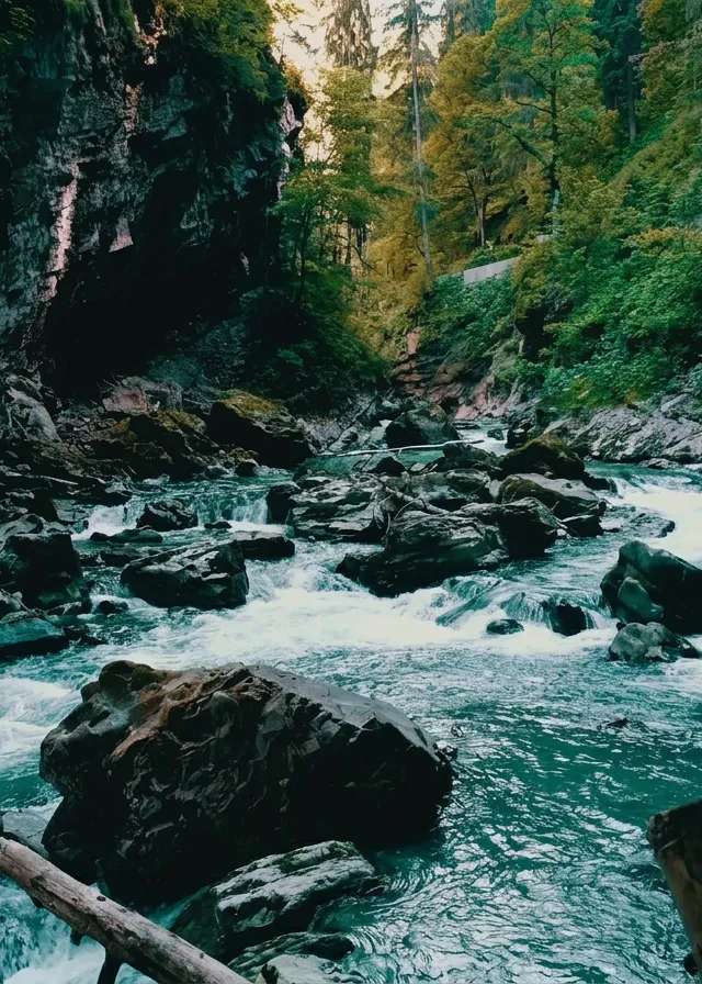 Photo de David Hartlin Guiding dans la Région d'Halifax, Ns