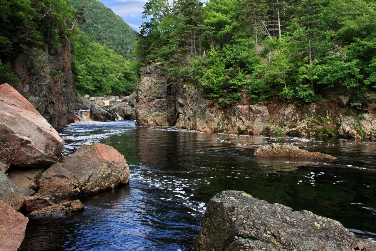 Photo of Dryflysalmon / Robert Chiasson in Cape Breton, NS