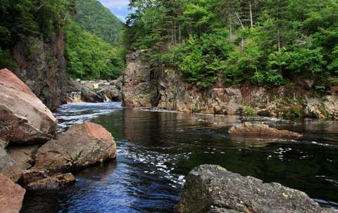 Photo of Dryflysalmon / Robert Chiasson in Cape Breton, NS