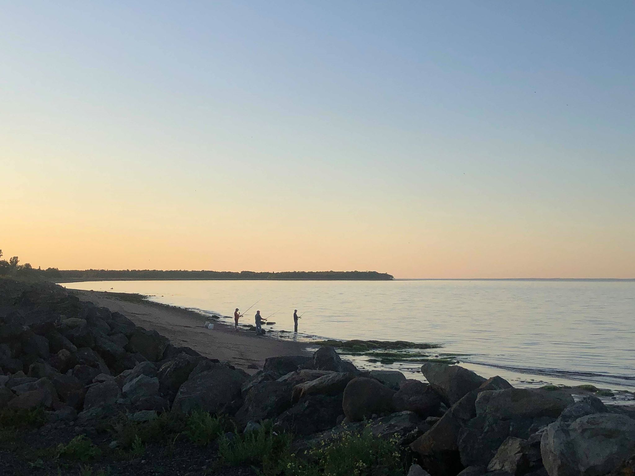 Photo of Stripers of the Strait in Northumberland Shore, NS
