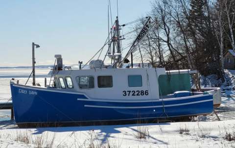Photo of Early Dawn Fishing Charters in Fundy Shore, NS