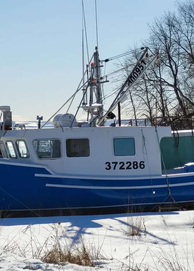 Photo of Early Dawn Fishing Charters in Fundy Shore, NS