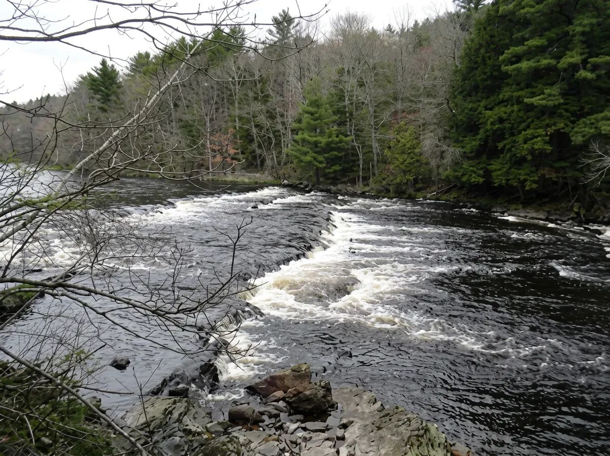 Photo of Dacara Fishin in South Shore, NS