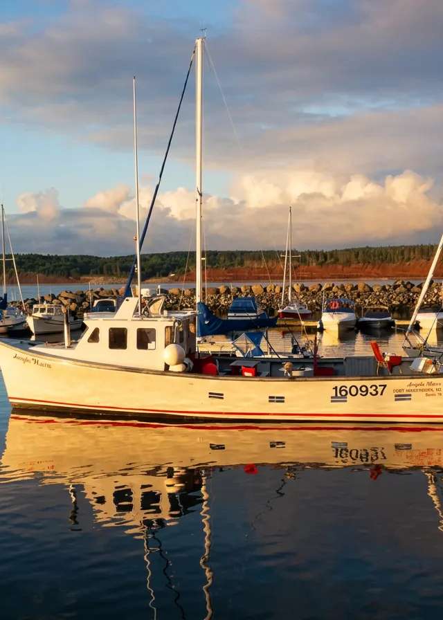 Photo of Scotia Bluefin Tuna Charters in Northumberland Shore, NS