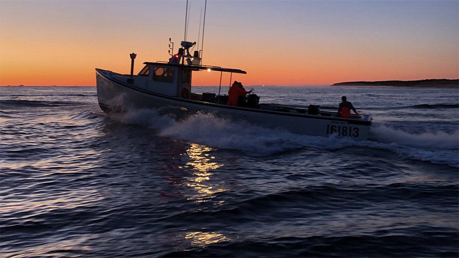 Photo of MacNeill's Tuna and Deep-Sea Fishing Charters in Points East Coastal Drive, PE