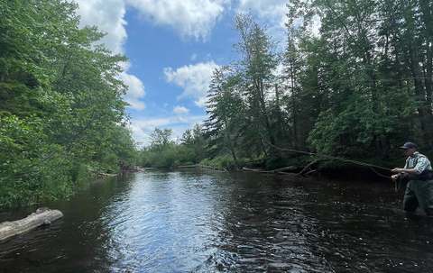 Photo de Fly Fish PEI sur la Route côtière Points East, Pe