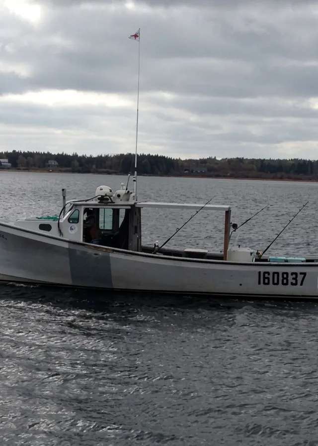 Photo de Top Notch Tuna Charters sur la Route côtière Points East, Pe