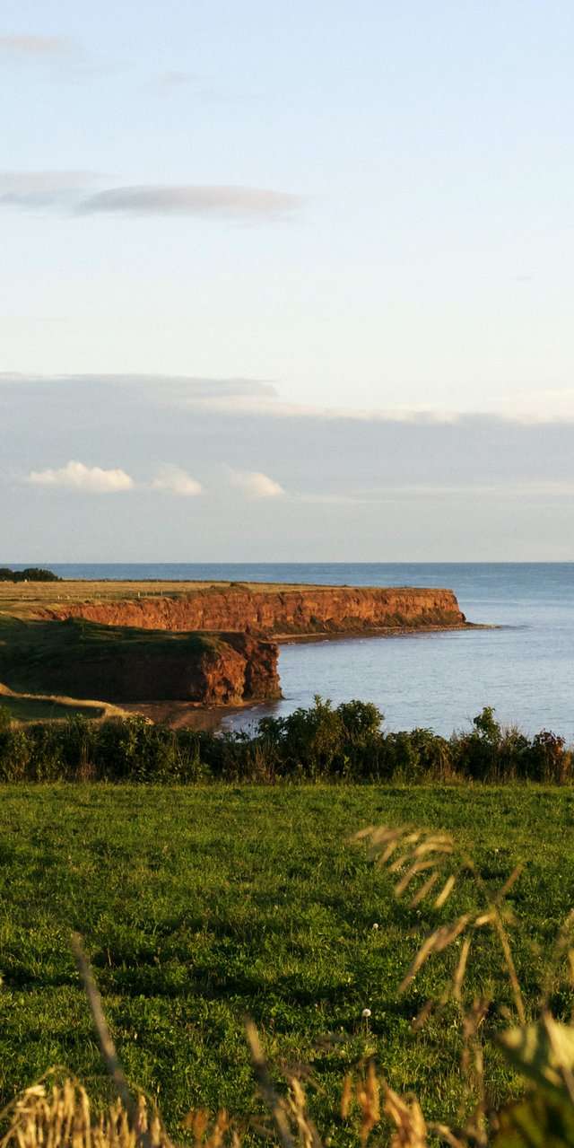Photo of Hunter's Chance in Central Coast, PE