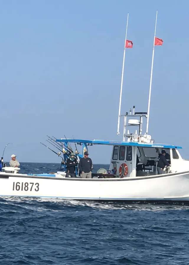 Photo de Tony's Tuna Fishing sur la Route côtière Points East, Pe