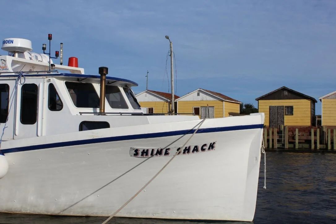 Photo of Wicked Sea Adventures in Points East Coastal Drive, PE