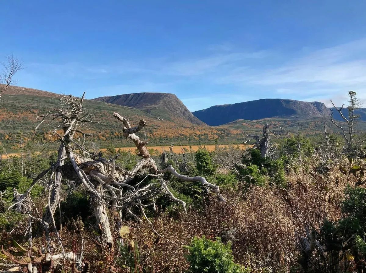 Photo de Parsons Pond Outfitters dans la Péninsule Nord, Nl