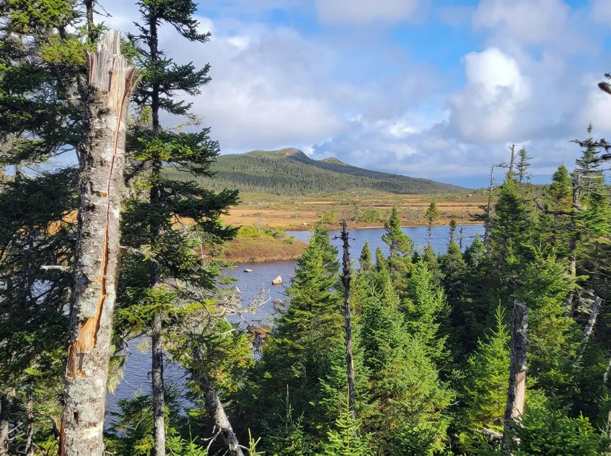 Photo of Brophy & Sons Big Game Outfitters in West Coast, NL