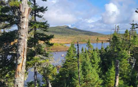 Photo de Brophy & Sons Big Game Outfitters sur la Côte Ouest, Nl
