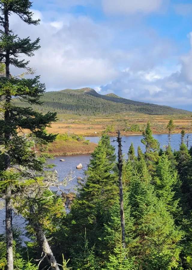 Photo de Brophy & Sons Big Game Outfitters sur la Côte Ouest, Nl