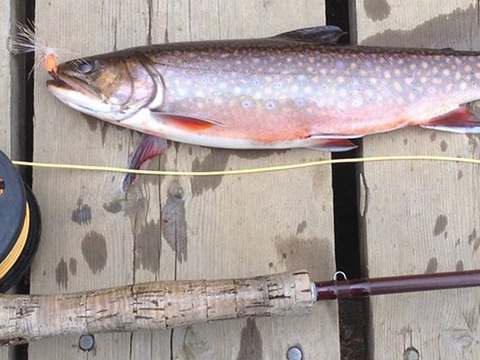 Auberge Cloud 9 Salmon Lodge – Cloud 9 Salmon Lodge Inc.